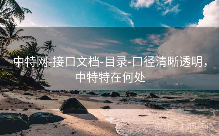 中特网-接口文档-目录-口径清晰透明，中特特在何处
